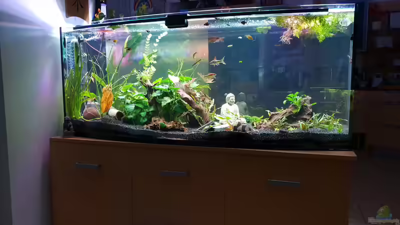 Nachtfieber  von Manuela&Mike (12)