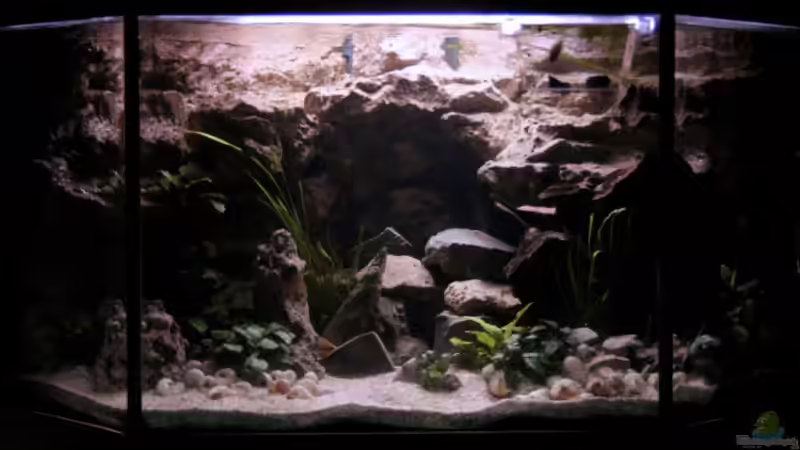 Nachtlicht (Feb. 2008) von photizo (3)