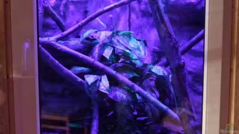 Nachtlicht im Test ... Alles 3mm LEDs von Betta Chris (17)