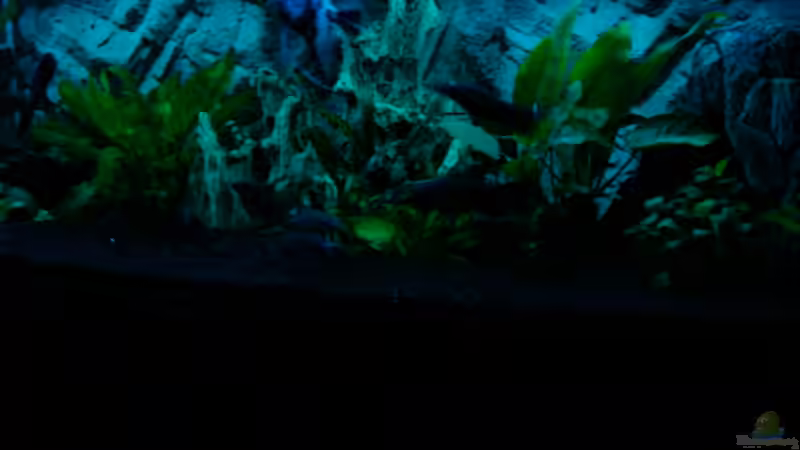 Nachtlicht von Dirk Linke (3)