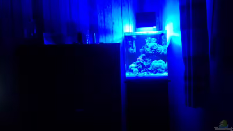 Nachtlicht von Haens84 (25)