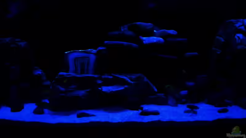 Nachtlicht von HERZ 2 (5)