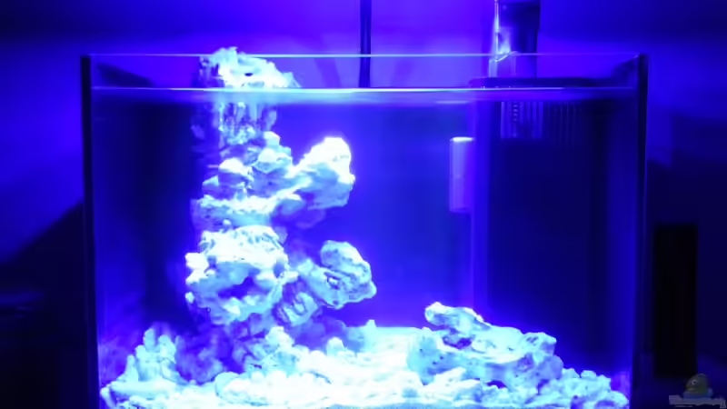 Nachtlicht von Jens Kändler (10)