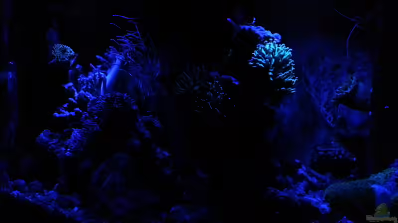 Nachtlicht von Jens Kändler (37)