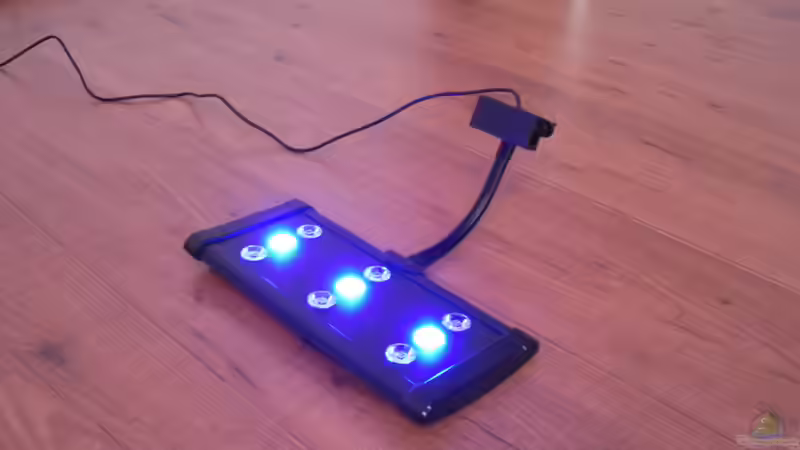 Nachtlicht von Jens Kändler (6)