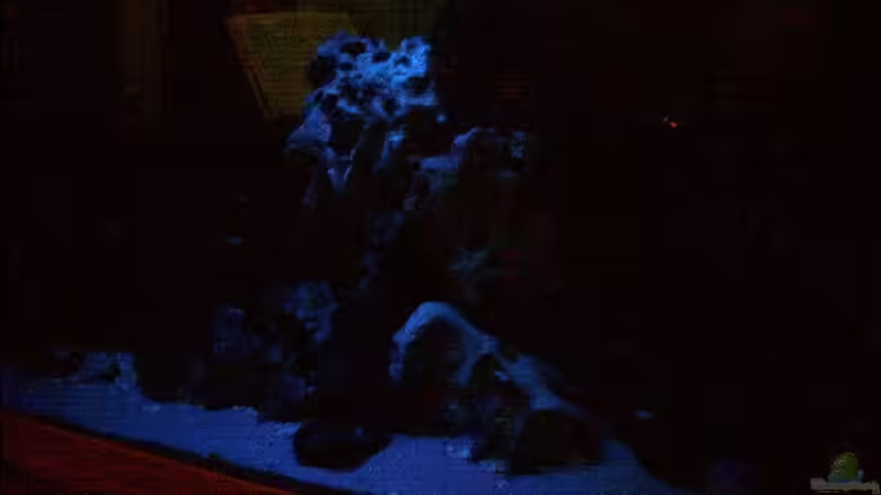 Nachtlicht von Markus Parthe (7)