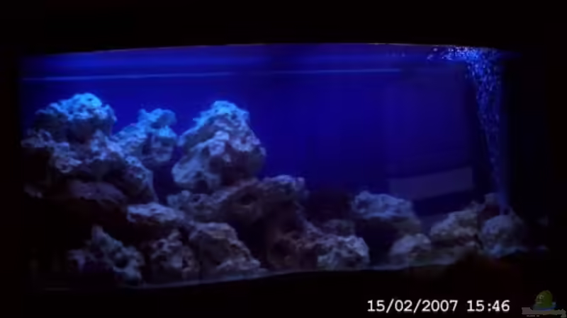 nachtlicht von Sabine Krüger (6)