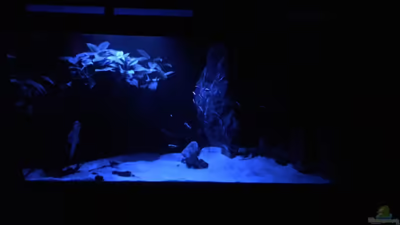 Nachtlicht von Sale87 (2)