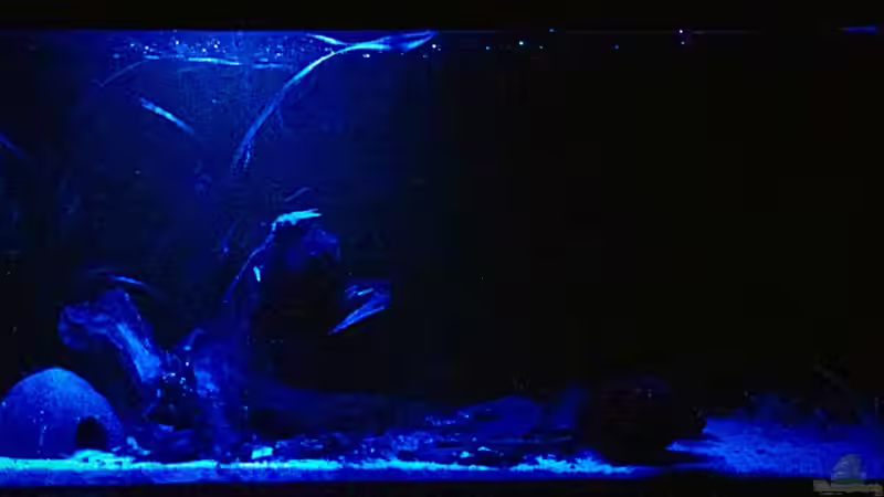 Nachtlicht von Sale87 (6)