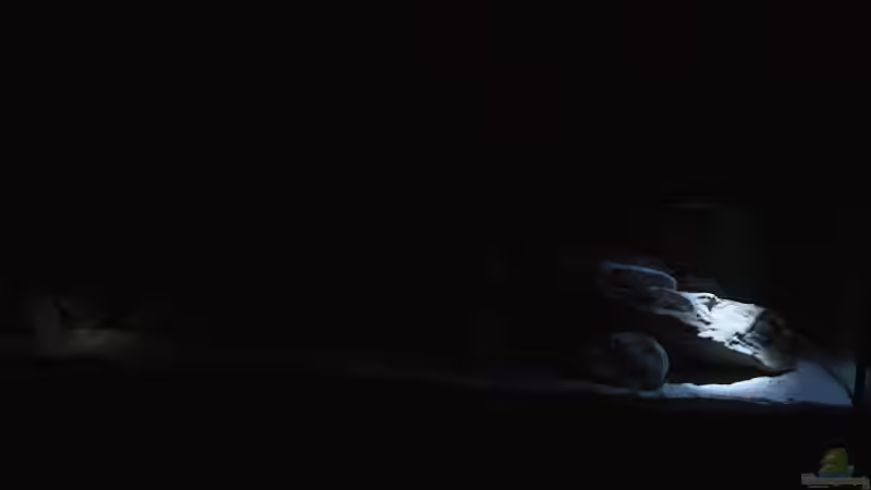 Nachtlicht von Tobias Seiffert (4)