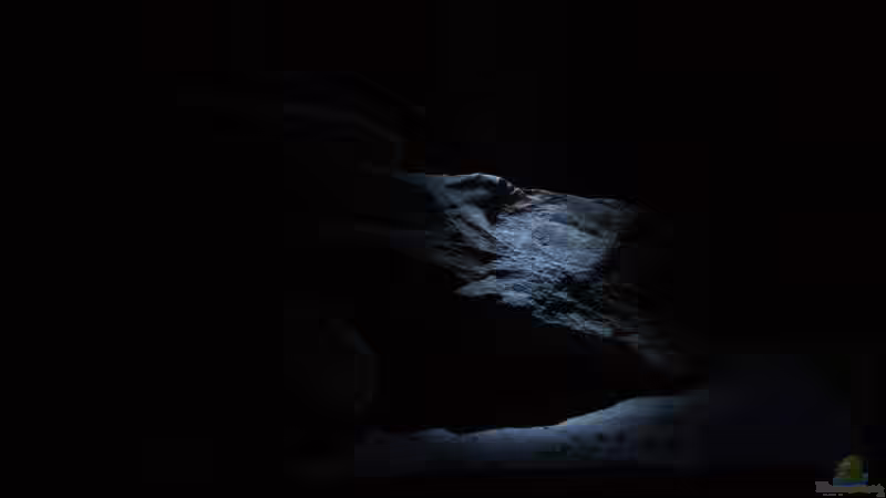 Nachtlicht von Tobias Seiffert (5)