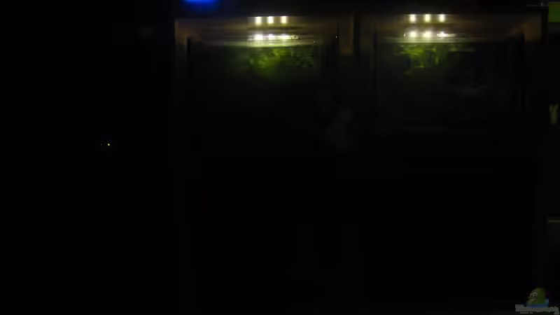 Nachtlichtbeleuchtung. Rechts oben ist das A. Borelli Aquarium (lange Belichtungszeut daher wirkt es heller als es wirklich ist) von chrisi01 (4)
