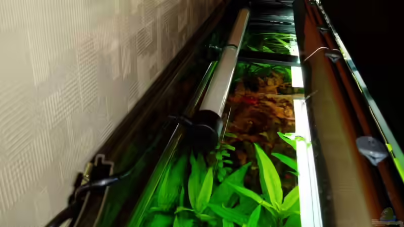 Nachtlicht(Sonnenauf/untergangssimulation) von Funky (16)