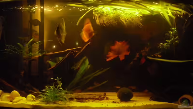 Nachtlist von IKEA, eine LED Leiste, an die Reflektoren geklent, hielt erst im dritten Versuch, aber sitzt super.  von nemo0109 (31)
