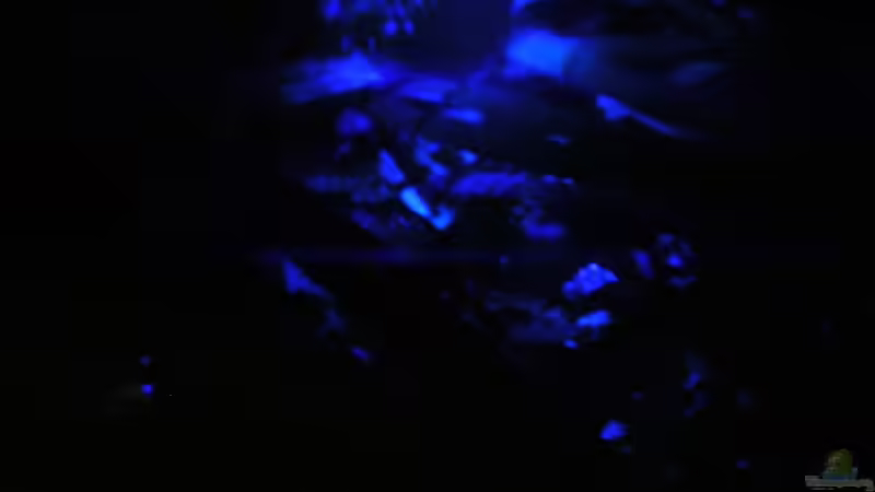 Nachts im AQ, von oben von Der Analyst (15)