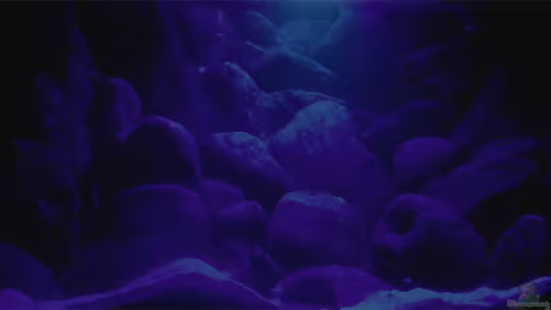 nachts im ´Malawisee´ ;-) von Tilo Schmiedl (6)