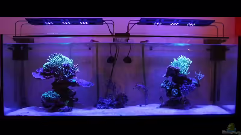 Nachts im Riff von The_Lizardking (1)