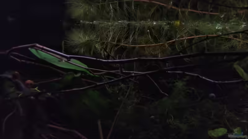 Nachts von SaMü (15)