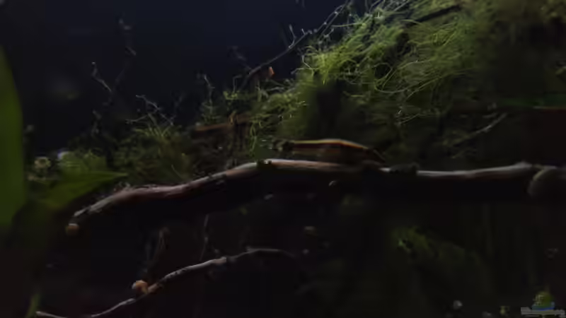 Nachts von SaMü (9)