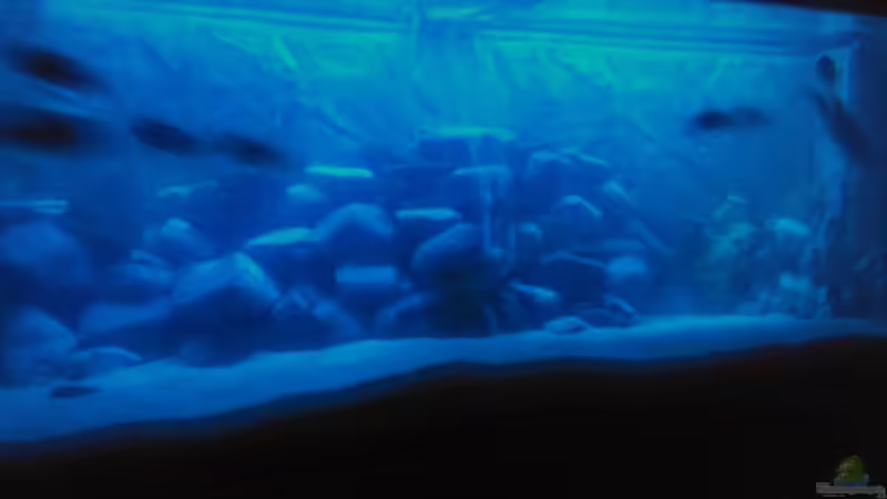 Nachtsicht von Francesco (5)