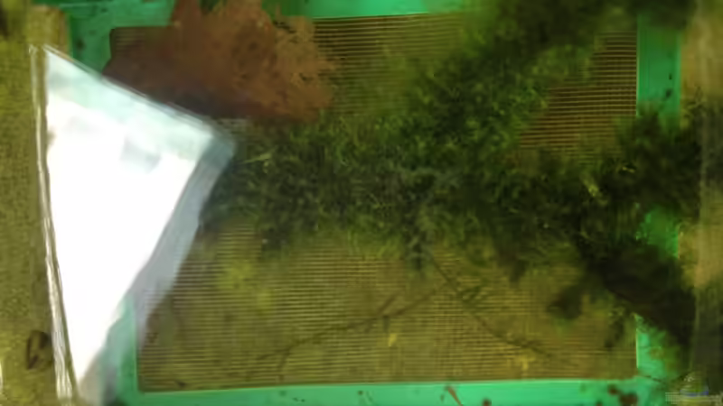 nachwuchs im Knast von Walde (131)