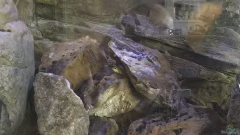 Nachwuchs von Daniel H. (30)