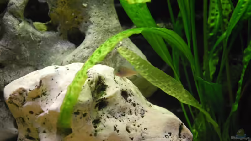 Nachwuchs von Dustin R. (11)