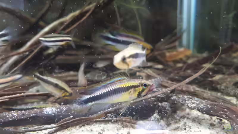 Nachwuchs von Jim (8)