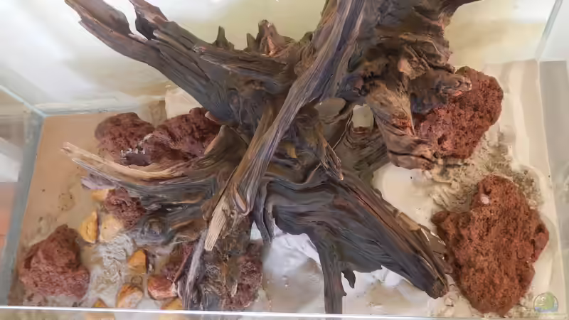 Nadika Sang von miv (9)