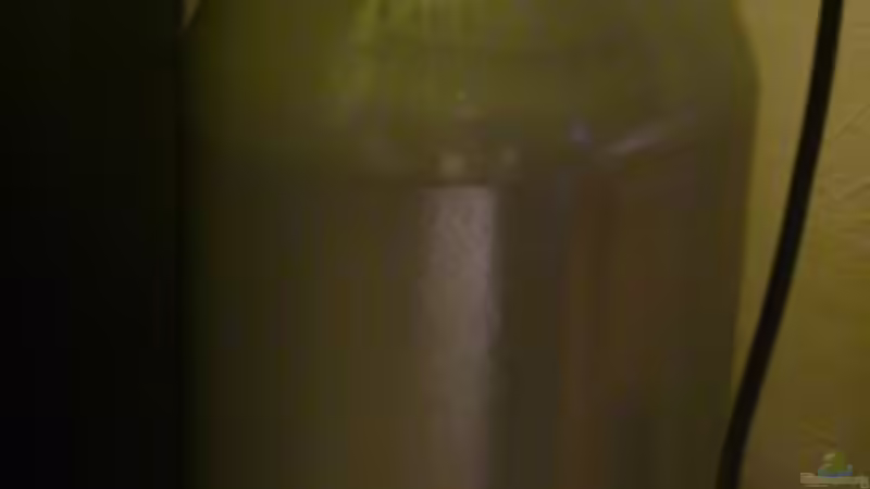 Nägel mit Köpfen... 10Kg Druckgas! von Leinad78 (4)