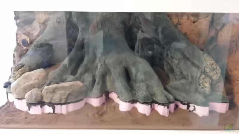 Nährboden ist drin von tripledad (3)