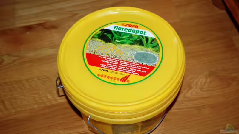 Nährboden unter dem Sand eingebracht von derFalk (24)