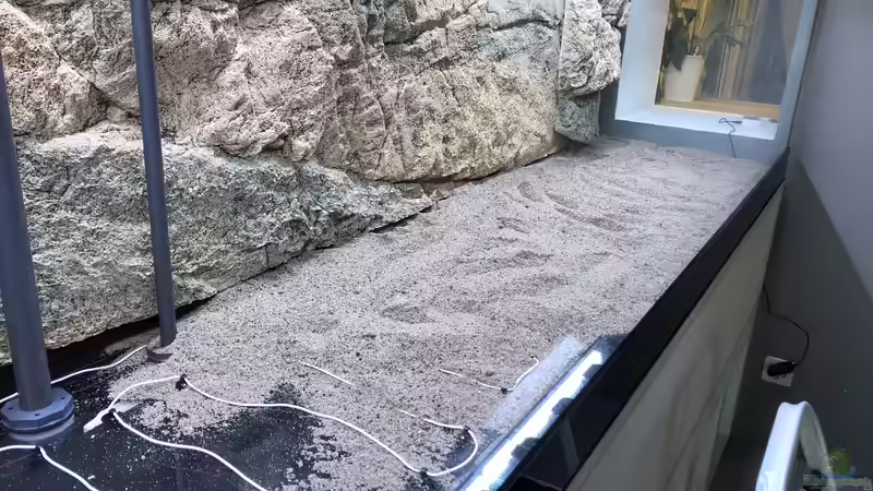 Nährboden wird eingebracht von Hippopotan (17)