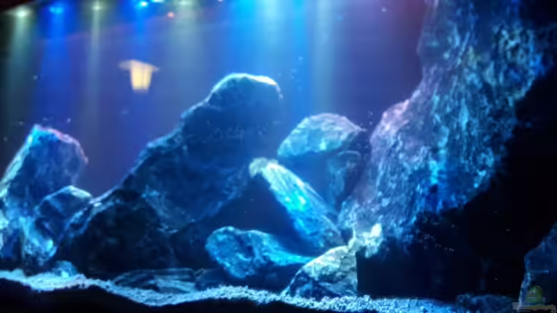 Nah Ansicht von Mondamin (12)