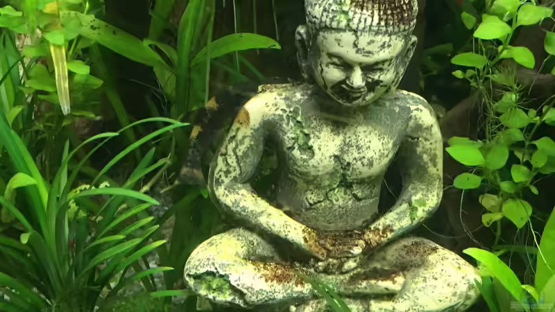 Nahaufnahme  von Christian Bernreiter (23)