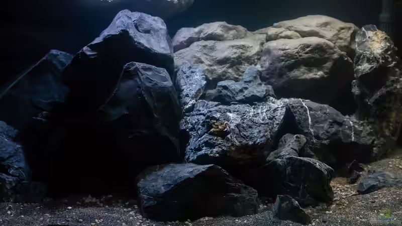 Nahaufnahme Einrichtung mitte von 77Markus (7)