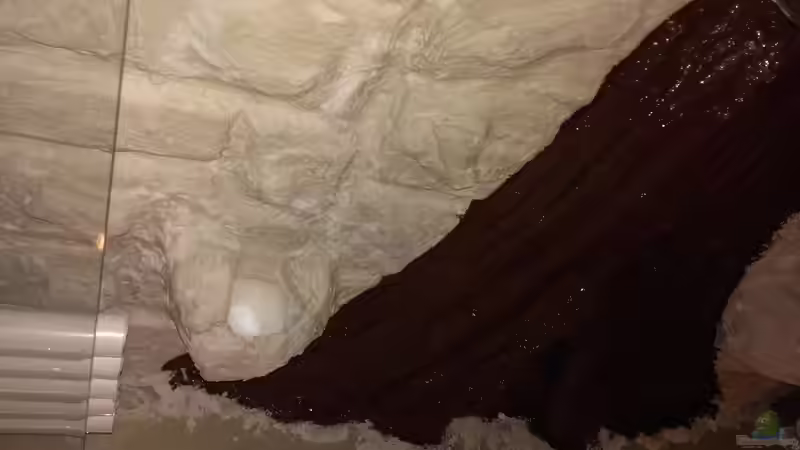 Nahaufnahme Rückwand linker Teil. von raubsau (30)