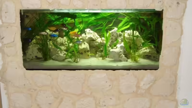 naja und so sieht es heute aus... von Andre Spieler (11)