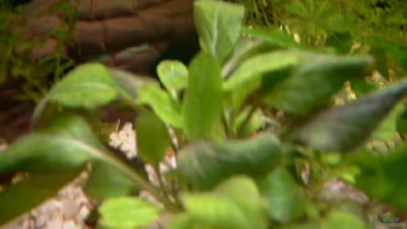 Name ist mir so jetzt nicht bekannt von Sean & Fynn (8)