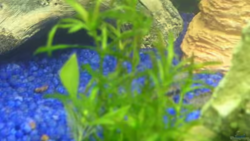 Name kenn ich net von Sabrina Schenk (2)