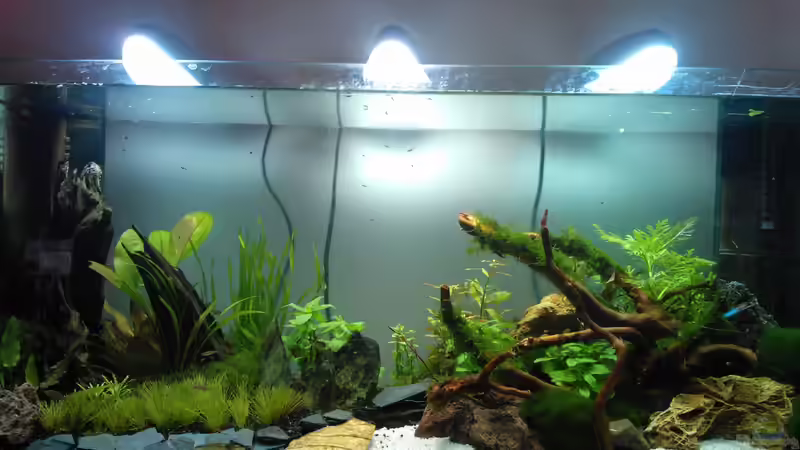 nano 30l --> 96l von madapusa (18)