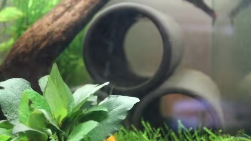 Nano Becken von Sabrina Mertes (5)