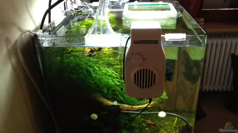 Nano CoolAir eco  von Walde (84)