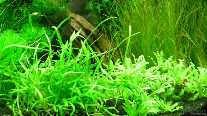 Nano Cube 10.06.2009