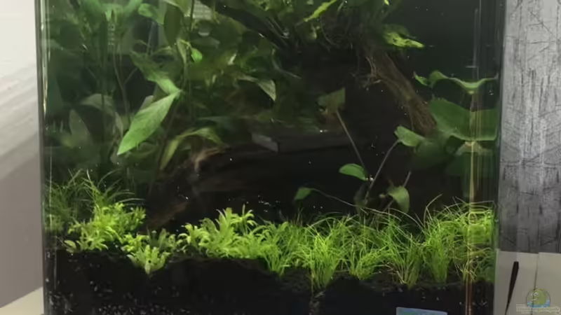 Nano Cube 30L von Zohan (1)