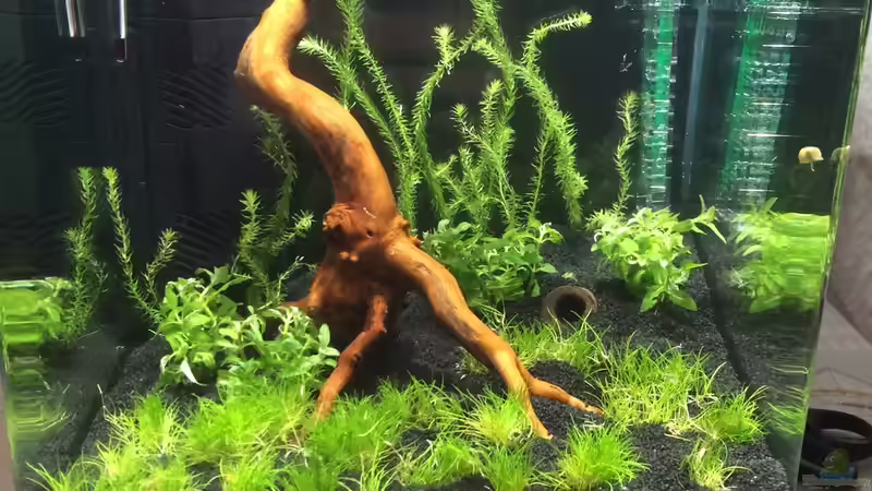 Nano Cube von Lennart (1)