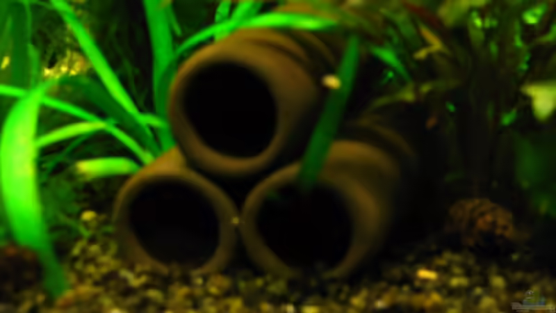 Nano Decor Crusta Tubes von Niko Toumanidis (15)