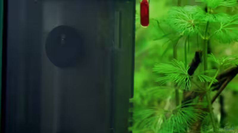 Nano Eckfilter von die Perle... (34)