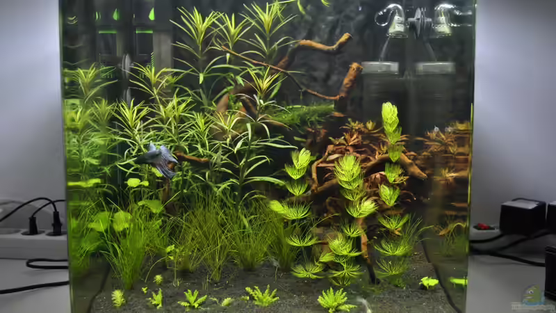 NanoCube 60 von Asterrati (1)