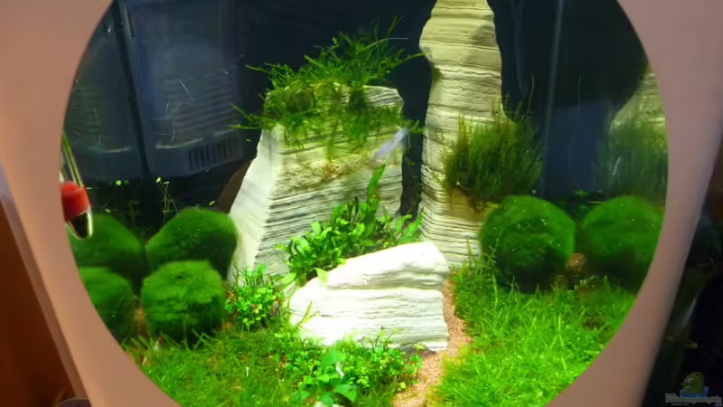 Nanocube von tanja4 (1)